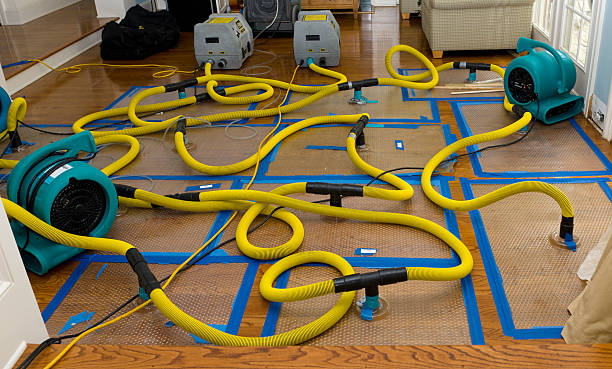 Professional Basement Flood Cleanup technician working in Palacios, TX